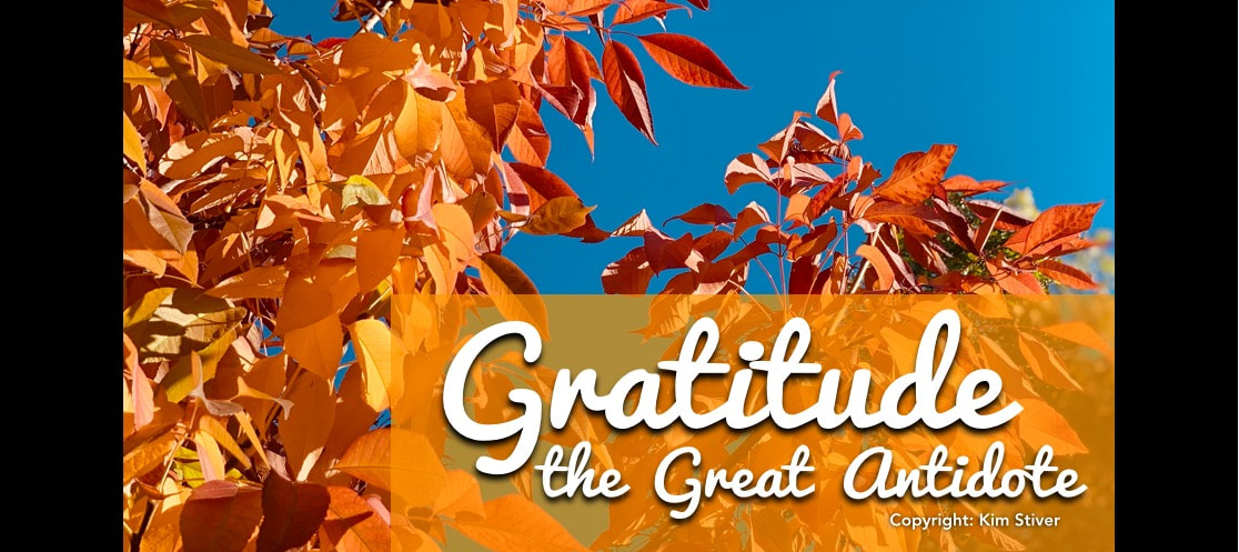 Gratitude, the Great Antidote for the Heart