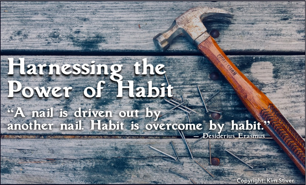 Harnessing the Power of Habit