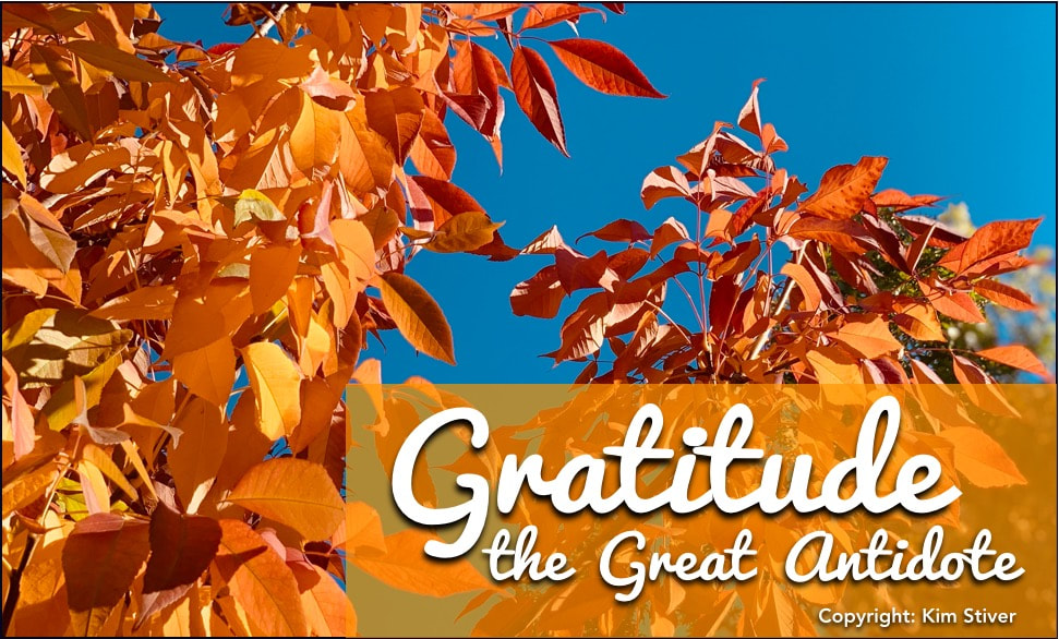 Gratitude the Great Antidote for the Heart