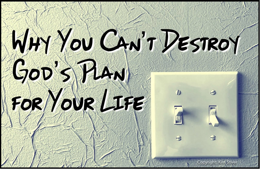 Why You Can't Destroy God's Plan for Your Life